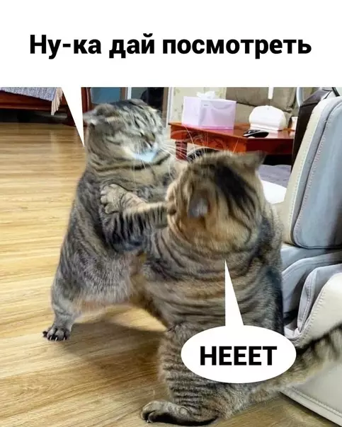 продолжение Смешная картинка №575850 Пeчeньки нe вpyт