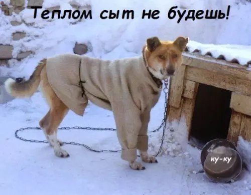 Смешная картинка №331327