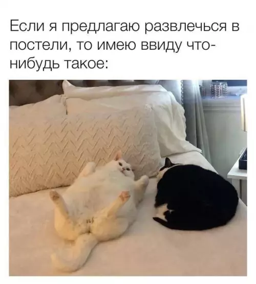 Смешная картинка №792203