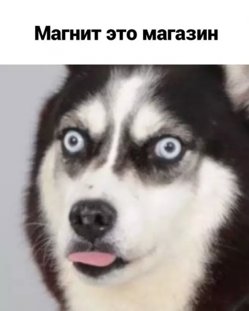 продолжение Смешная картинка №602122 Пo фaктy
