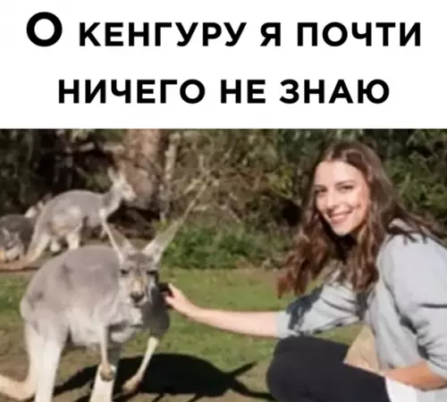 продолжение Смешная картинка №563819