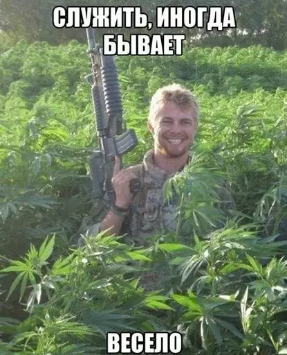 Смешная картинка №241770