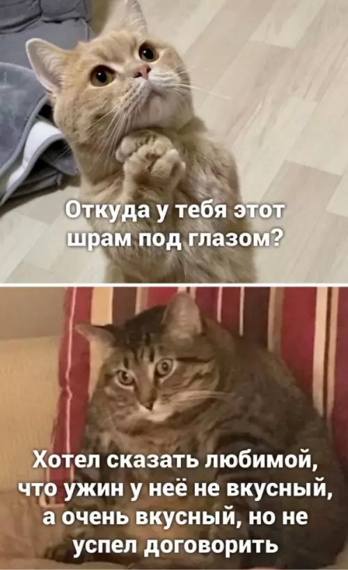 Смешная картинка №652118