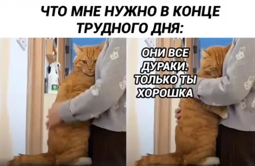 Смешная картинка №748129
