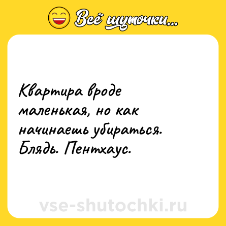 Шутка: Квартира вроде маленькая, но как начинаешь убираться. Блядь. Пентхаус.