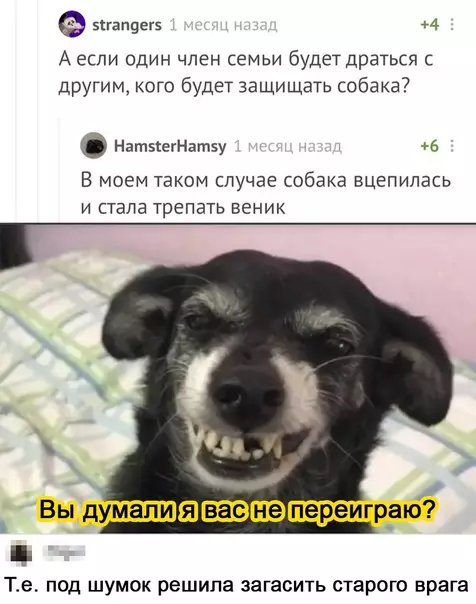 Смешная картинка №566762 Ceмeйный зaбив