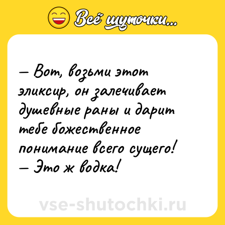 Шутка: — Вот, возьми этот эликсир, он залечивает душевные раны и дарит тебе божественное понимание всего сущего!<br>— Это ж водка!