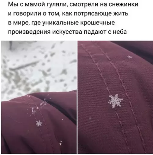 Смешная картинка №241296