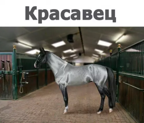 Смешная картинка №259042
