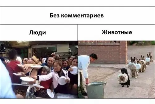 Смешная картинка №200700