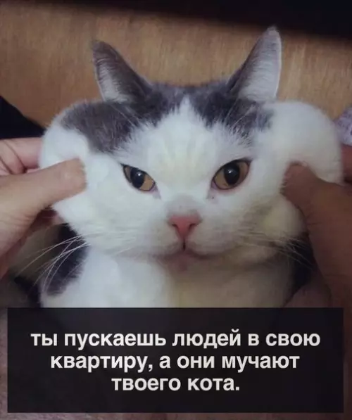 Смешная картинка №181505