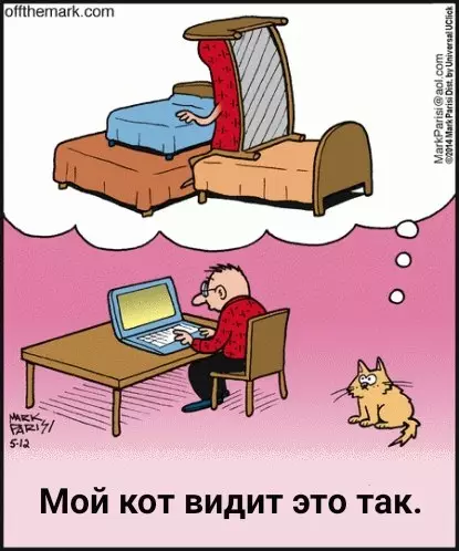 Смешная картинка №236470 коты