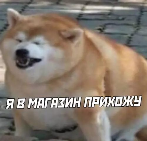 продолжение Смешная картинка №569466