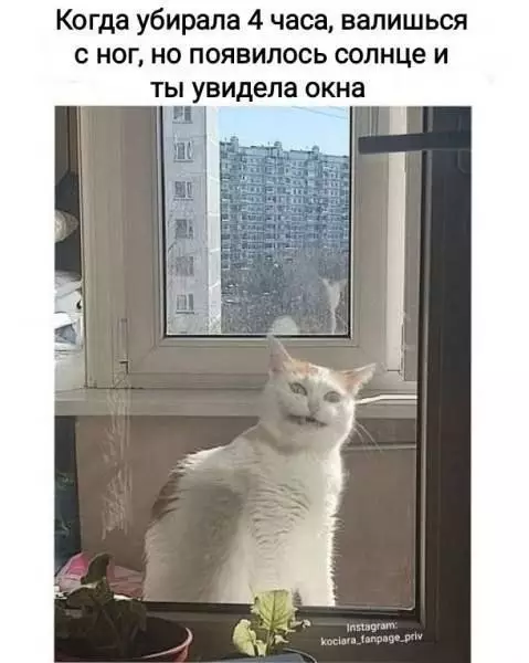 Смешная картинка №758777