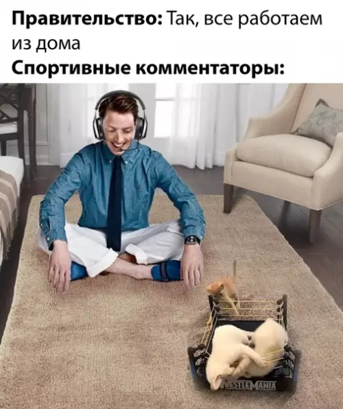 Смешная картинка №477434