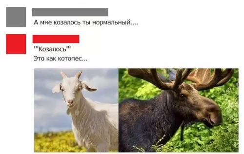 Смешная картинка №347474