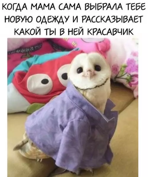 Смешная картинка №205644