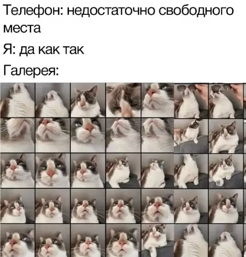 Смешная картинка №664696