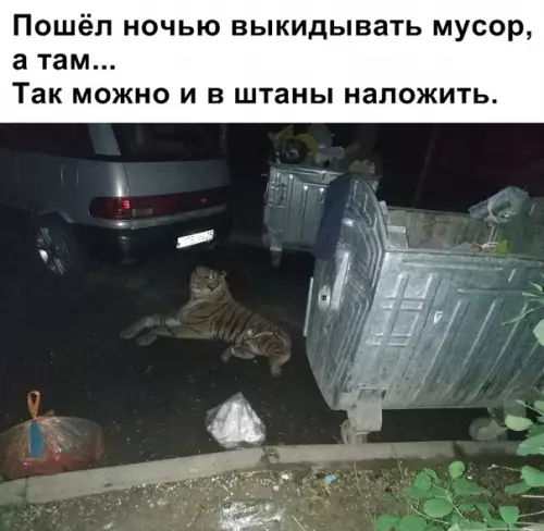Смешная картинка №358073