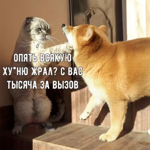 Смешная картинка №253169