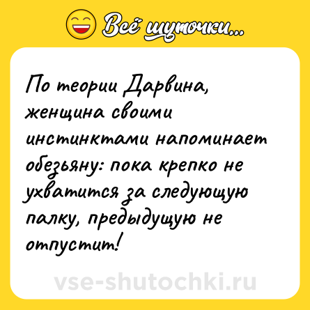 Шутка: По теории Дарвина, женщина своими инстинктами напоминает обезьяну: пока крепко не ухватится за следующую палку, предыдущую не отпустит!