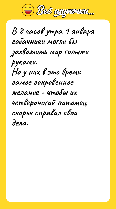 В 8 часов утра 1 января собачники могли бы захватить