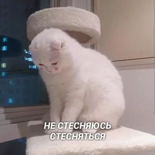 Смешная картинка №422002 Моё резюме: