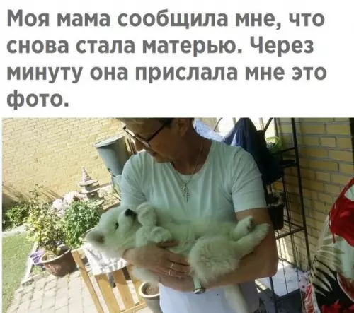 Смешная картинка №277052