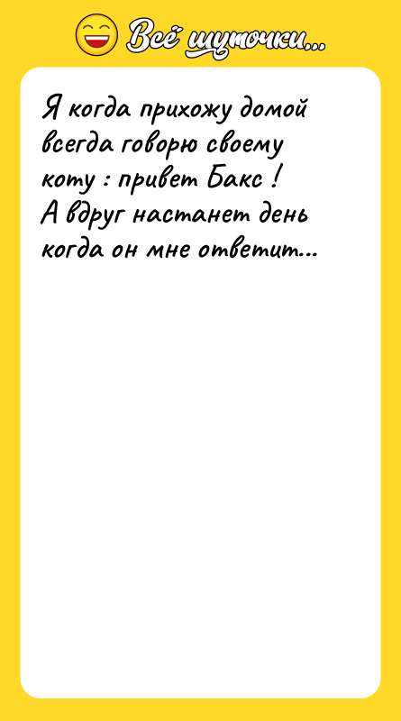 Я когда прихожу домой всегда говорю своему коту : привет