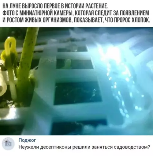 Смешная картинка №325128