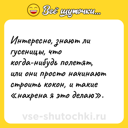 Шутка: Интересно, знают ли гусеницы, что когда-нибудь полетят, или они просто начинают строить кокон, и такие «нахрена я это делаю».