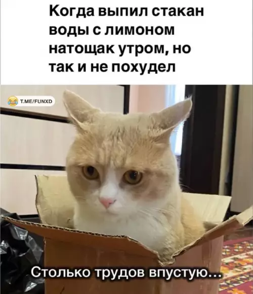 Смешная картинка №765236