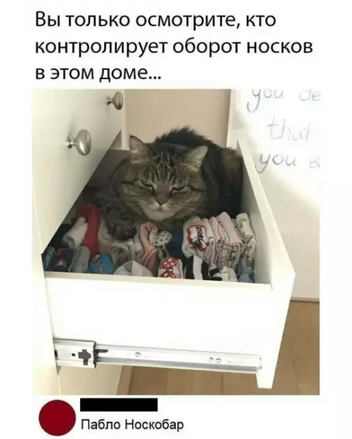 Смешная картинка №797784