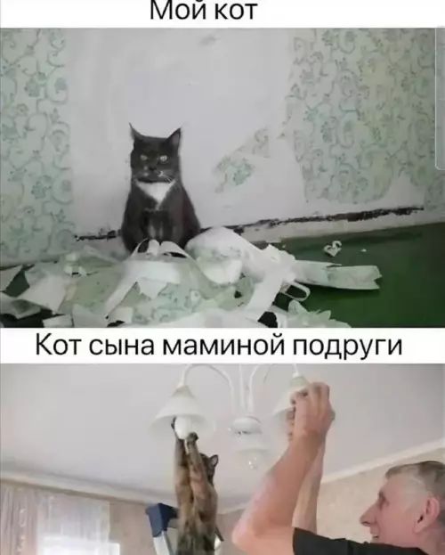 Смешная картинка №759773