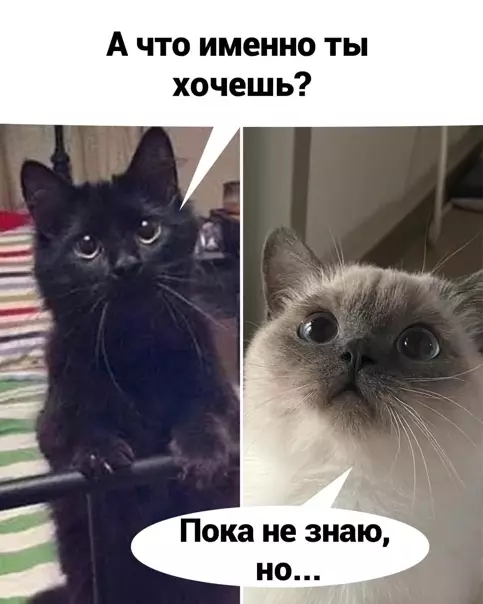 продолжение Смешная картинка №561556