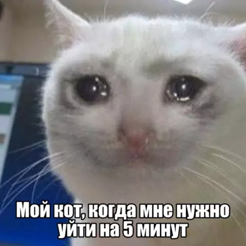 Смешная картинка №747909 Возвращайся