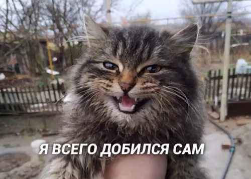Смешная картинка №426726 Зато сам!