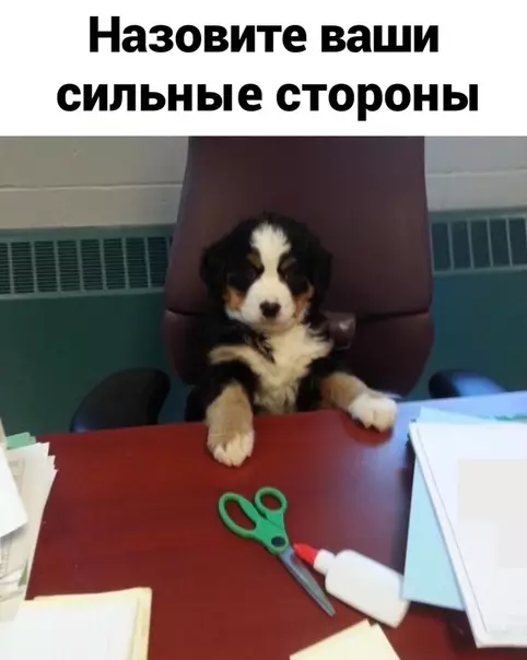 Смешная картинка №527044 Настойчивoсть.