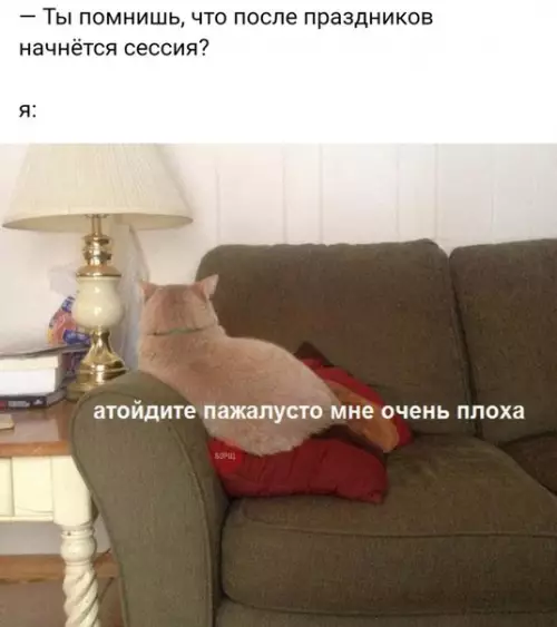 Смешная картинка №236821