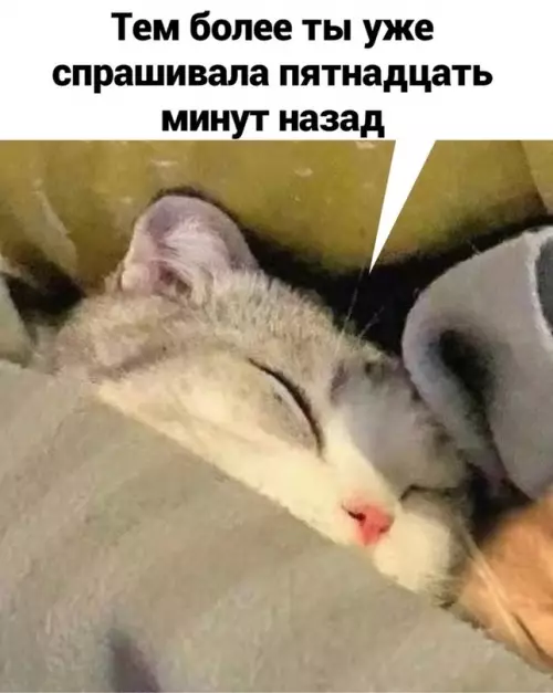 продолжение Смешная картинка №663910