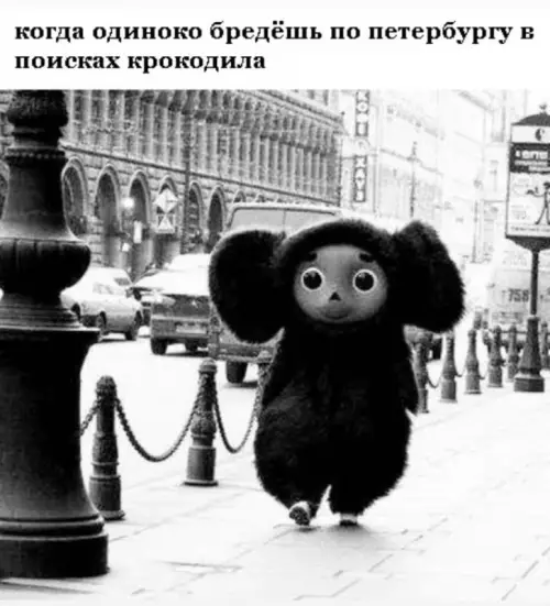 Смешная картинка №661377 питер, чебурашка