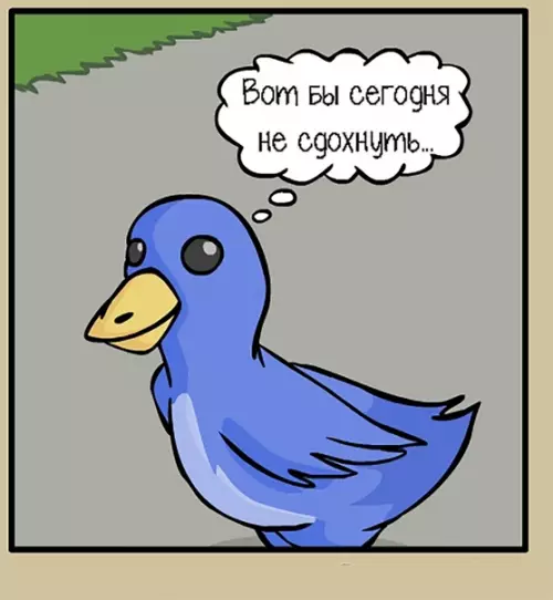 продолжение Смешная картинка №585415