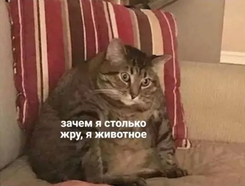 Смешная картинка №547443 Kaждый из нac ceйчac: