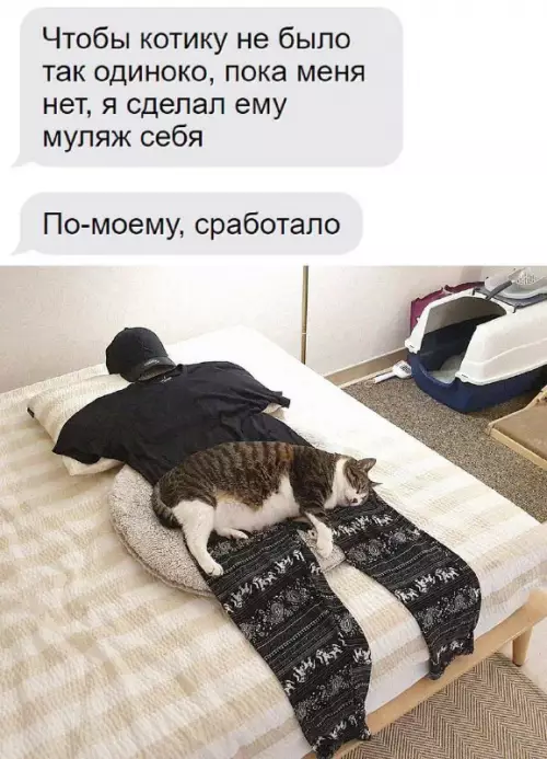 Смешная картинка №709149