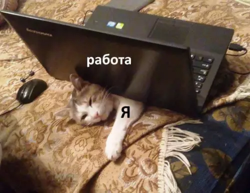 Смешная картинка №777779