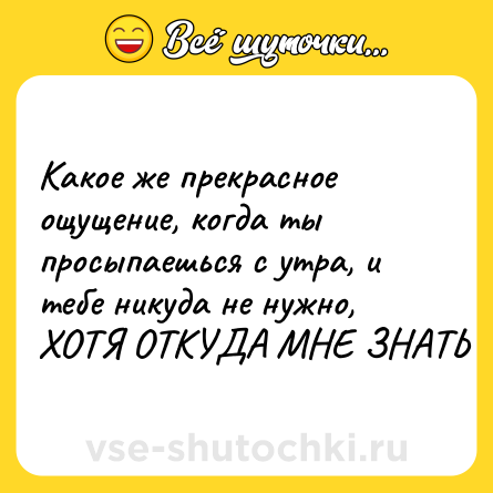 Шутка: Какое же прекрасное ощущение, когда ты просыпаешься с утра, и тебе никуда не нужно, ХОТЯ ОТКУДА МНЕ ЗНАТЬ