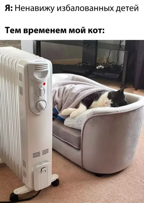 Смешная картинка №705952