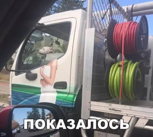 Смешная картинка №265449