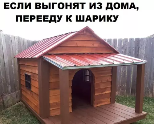 Смешная картинка №311226