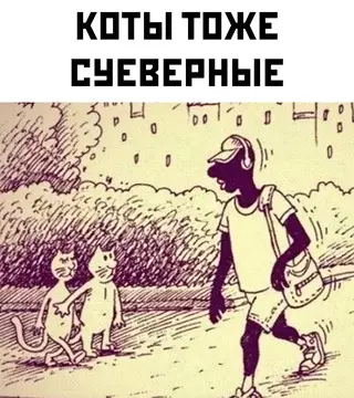 Смешная картинка №678533 коты